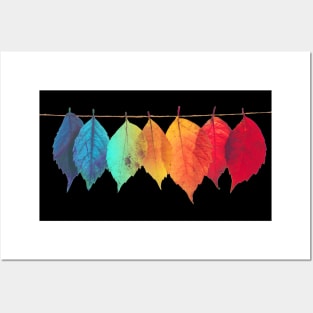 Rainbow Colored Leaves Posters and Art